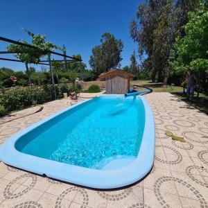 a large blue swimming pool on a patio at Cabaña de huéspedes en un microviñedo familiar in Rauco