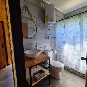 a bathroom with a sink and a toilet at Cabaña de huéspedes en un microviñedo familiar in Rauco