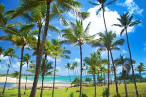 a group of palm trees on a beach at Hilton Garden Inn Kauai Wailua Bay, HI in Kapaa