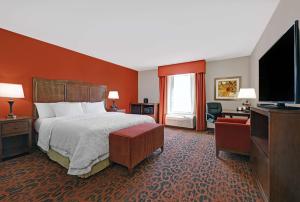 ローズバーグにあるHampton Inn Lordsburgのベッド1台、薄型テレビが備わるホテルルームです。