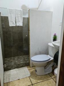 La salle de bains est pourvue d'une douche, de toilettes et d'un lavabo. dans l'établissement Monteverde Monte Green, à Monteverde Costa Rica