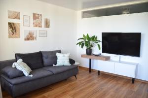 a living room with a couch and a flat screen tv at See- und Bergblick Oberteuringen in Oberteuringen