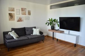 a living room with a couch and a flat screen tv at See- & Bergblick Oberteuringen 59 mit beheiztem Indoor-Pool in Oberteuringen