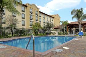 Bazén v ubytování Homewood Suites by Hilton McAllen nebo v jeho okolí