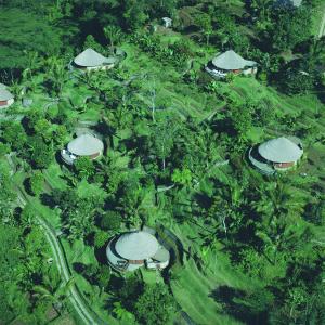 an overhead view of a resort with trees and grass at Bagus Jati Health & Wellbeing Retreat in Tegalalang