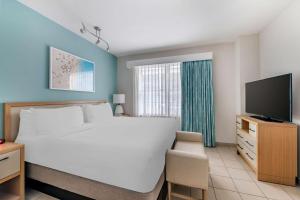 1 dormitorio con 1 cama grande y TV en Hilton Vacation Club Crescent on South Beach Miami, en Miami Beach