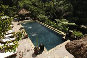 an image of a swimming pool in a garden at Bagus Jati Health & Wellbeing Retreat in Tegalalang