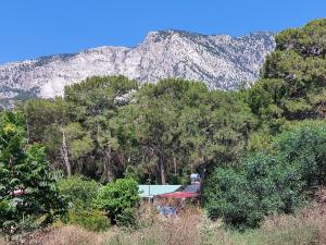 una casa en el bosque con una montaña en el fondo en Mommy Farm home, en Beldibi