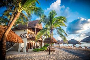 a resort on the beach with palm trees at Mahekal Beach Front Resort & Spa in Playa del Carmen