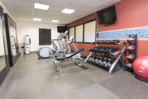 Fitness centrum a/nebo fitness zařízení v ubytování Hampton Inn Mount Pleasant