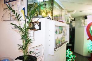 Fotografie z fotogalerie ubytování Mamba Hotel v destinaci Dněpropetrovsk