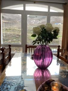 a purple vase with white roses on a table at Alojamiento Cerro Socorro in Cuenca