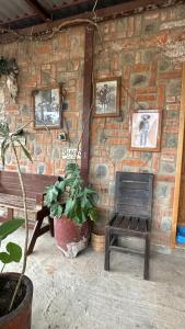 a brick wall with a chair and a plant at Vive en un rancho in Puebla