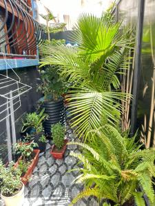 a bunch of plants in pots on a patio at Sidi Youssef Agadir in Agadir