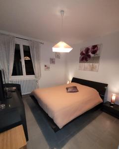 a bedroom with a large bed and a desk at Welcome in Nantes