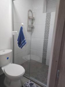 La salle de bains est pourvue de toilettes et d'une douche en verre. dans l'établissement Asombroso Apto 302 Para Grupos en El Poblado, à Medellín