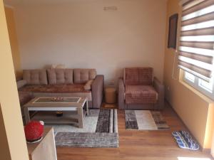 - un salon avec un canapé et une chaise dans l'établissement Apartman ,,LOVAC" Nova Varoš, à Branoševac