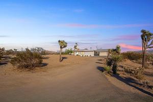 een onverharde weg in het midden van een woestijn met palmbomen bij Perfect Getaway withAmazing Views at Joshua Tree home in Yucca Valley