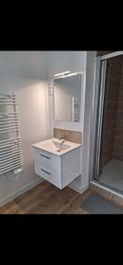 een badkamer met een witte wastafel en een spiegel bij T2 Echappée Marine in Balaruc-les-Bains
