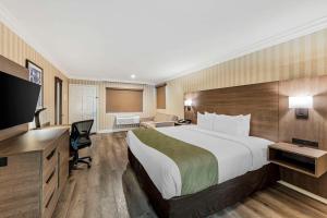 Habitación de hotel con cama grande y escritorio. en Quality Inn & Suites Anaheim Maingate en Anaheim