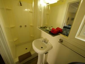 y baño blanco con lavabo y ducha. en Creston Valley Motel, en Creston