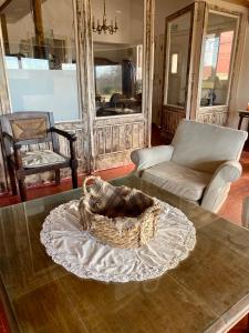 a living room with a table with a basket on it at Casa Chiozza in San Bernardo