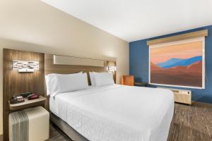 a hotel room with a large bed and a painting at Holiday Inn Express Belgrade-Bozeman Area, an IHG Hotel in Belgrade