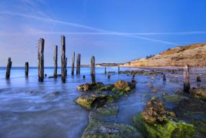 a beach with wooden posts in the water at BIG4 Port Willunga Tourist Park in Aldinga