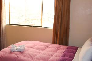 Lova arba lovos apgyvendinimo įstaigoje Cuscopackers Hostels