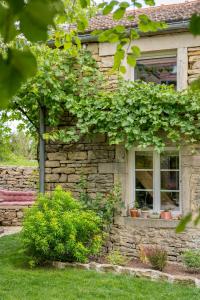 a stone house with a window with plants at A PAS DE LOUP, Maison de charme sur domaine viticole in Chaux