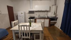 邁普的住宿－Departamento Gutiérrez，一间带桌椅的厨房和一间带冰箱的厨房