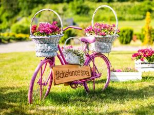 Una bicicleta rosa con dos cestas de flores en Mercure Racławice Dosłońce Conference&SPA, en Racławice