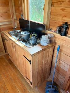 a kitchen with a stove and a sink in a cabin at Cosy Little Hut in Launceston