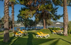 un grupo de sillas y palmeras en un parque en DoubleTree by Hilton Bodrum Isil Club All-Inclusive Resort, en Torba