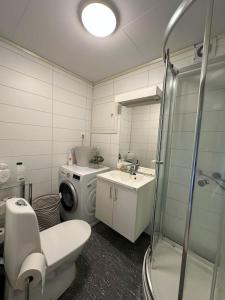 uma casa de banho com um lavatório e uma máquina de lavar roupa em Prestadalen 6 em Sogndal