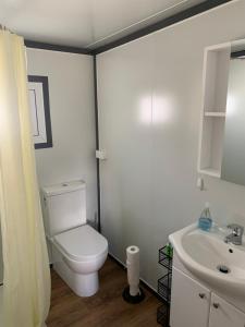 ein Bad mit einem WC und einem Waschbecken in der Unterkunft Blue Sapphire Motor Inn in Glen Innes