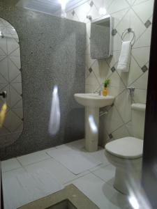 uma casa de banho com um lavatório, um WC e um espelho. em Pousada Balsas em Balsas