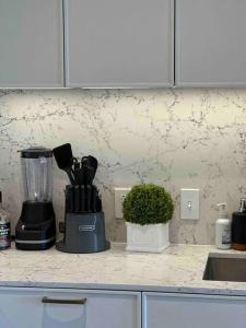 a kitchen counter with a blender on a counter top at Lux 2BR 2BR BackBay Boston Common T-station in Boston