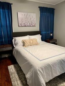 a bedroom with a large white bed with blue curtains at Argo Häuschen in Alamo Heights in San Antonio