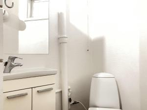 bagno con servizi igienici, lavandino e specchio di Spacious 3 Bedroom Apartment With 2 Common Rooms a Vejle