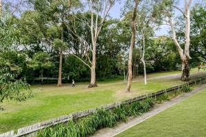 un parque con árboles y césped y una valla en YNG03 - Cremorne - Young Street, en Sídney