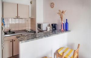 eine Küche mit einer Arbeitsplatte mit Mikrowelle in der Unterkunft Lovely Apartment In La Rochelle in La Rochelle