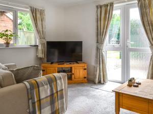 Ivy Cottage في North Coates: غرفة معيشة مع تلفزيون بشاشة مسطحة على منصة خشبية