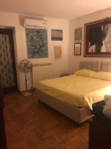 a bedroom with a bed and a fan at Dan House in Montefiascone