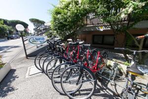 Jazda na bicykli v okolí ubytovania L'Approdo Hotel