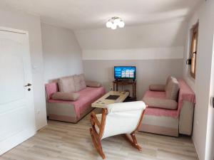 a living room with pink furniture and a tv at Zabljak Durmitor view in Žabljak