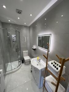 een badkamer met een douche, een wastafel en een toilet bij See the Sea Hideaway in The Mumbles
