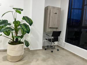 a plant in a room with a chair and a window at Levits in Medellín