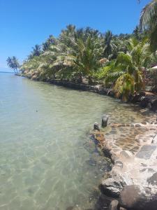 a body of water with palm trees on the shore at Pension LE PASSAGE vue jardin in Vaitoare