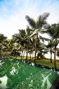 une piscine entourée de palmiers dans un parc dans l'établissement The Rockwall Boutique Hotel, à Bentota